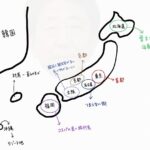 レス2番の画像2