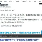 レス3番の画像1