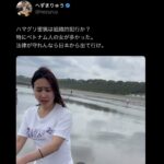 レス2番の画像1