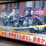 レス2番の画像1