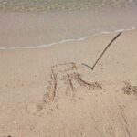 レス6番の画像2