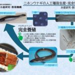 レス1番の画像4