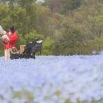 レス1番のリンク先のサムネイル画像