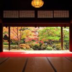 レス51番の画像3