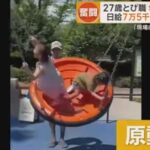レス4番の画像2