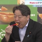 レス1番のリンク先のサムネイル画像