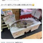 レス24番の画像2