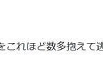 レス1番のリンク先のサムネイル画像