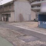 レス1番のリンク先のサムネイル画像