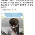 レス1番の画像1
