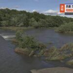 レス1番のリンク先のサムネイル画像