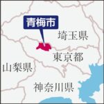 レス1番のリンク先のサムネイル画像