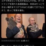レス1番の画像1