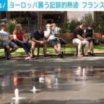 レス1番のリンク先のサムネイル画像