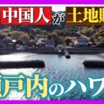 レス1番のリンク先のサムネイル画像
