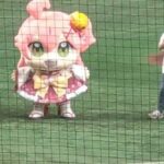 レス8番の画像1