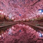 レス20番の画像5
