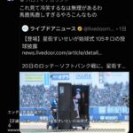 レス13番の画像1