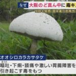 レス4番の画像1