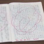 レス1番のリンク先のサムネイル画像