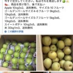 レス1番の画像4