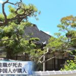レス1番のリンク先のサムネイル画像