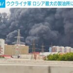 レス1番のリンク先のサムネイル画像