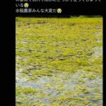 レス1番の画像7