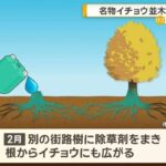 レス1番の画像4