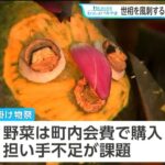 レス1番の画像4