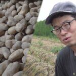 レス1番のリンク先のサムネイル画像
