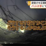レス1番のリンク先のサムネイル画像