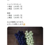 レス3番の画像1
