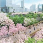 レス15番の画像1