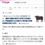 レス33番の画像1