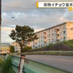 レス1番の画像2