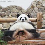 レス48番の画像3