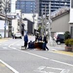 レス1番のリンク先のサムネイル画像