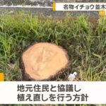 レス1番の画像6
