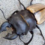 レス14番の画像5