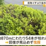 レス1番の画像5