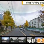 レス1番の画像3