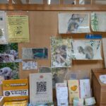 レス16番の画像1