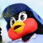 レス2番のリンク先のサムネイル画像