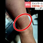 レス1番のリンク先のサムネイル画像