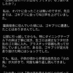 レス2番の画像1