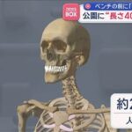 レス1番のリンク先のサムネイル画像