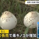 レス1番の画像6