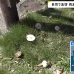 レス1番の画像4