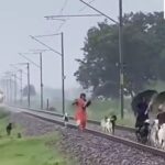 レス6番のリンク先のサムネイル画像